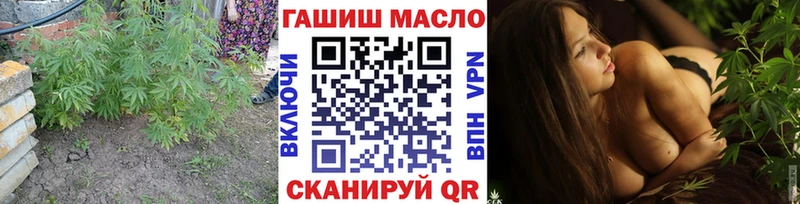 ТГК THC oil  закладка  Камышлов 