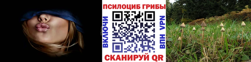Псилоцибиновые грибы GOLDEN TEACHER  наркота  Камышлов 