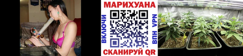Канабис план  купить наркоту  Камышлов 